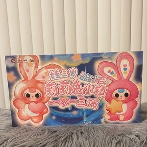 #42 8 BB3 LILYRABBIT TOWN BLUND BOX CASE